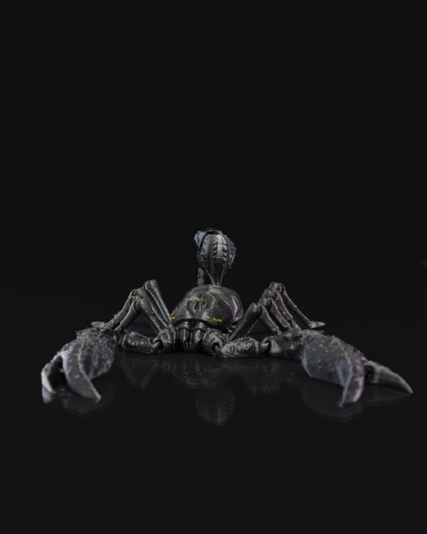 Emperor Scorpion