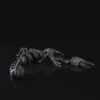 Emperor Scorpion - Image 5