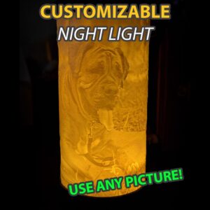 CUSTOMIZABLE Night Light – Use any picture!