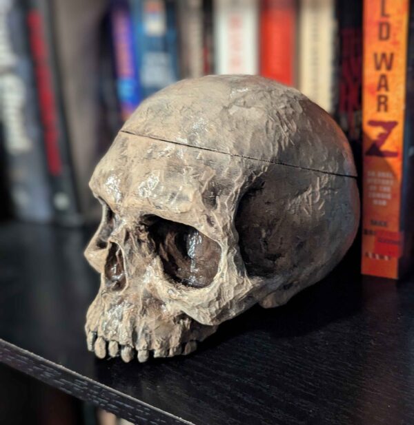 Skull Desk Organizer - Ancient Weathered Human Skull Container Prop - Hand Painted Realistic Skull with Bone Texture - Skull Storage Box - Image 2